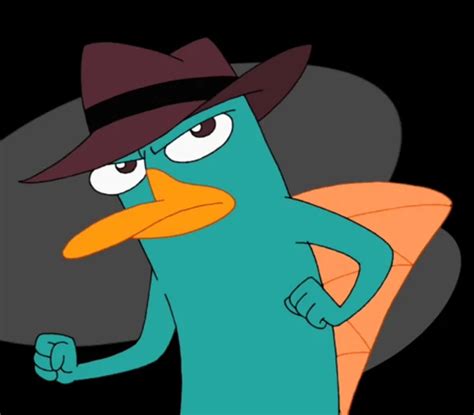 perry the platypus from phineas and ferb|perry the platypus expressions.